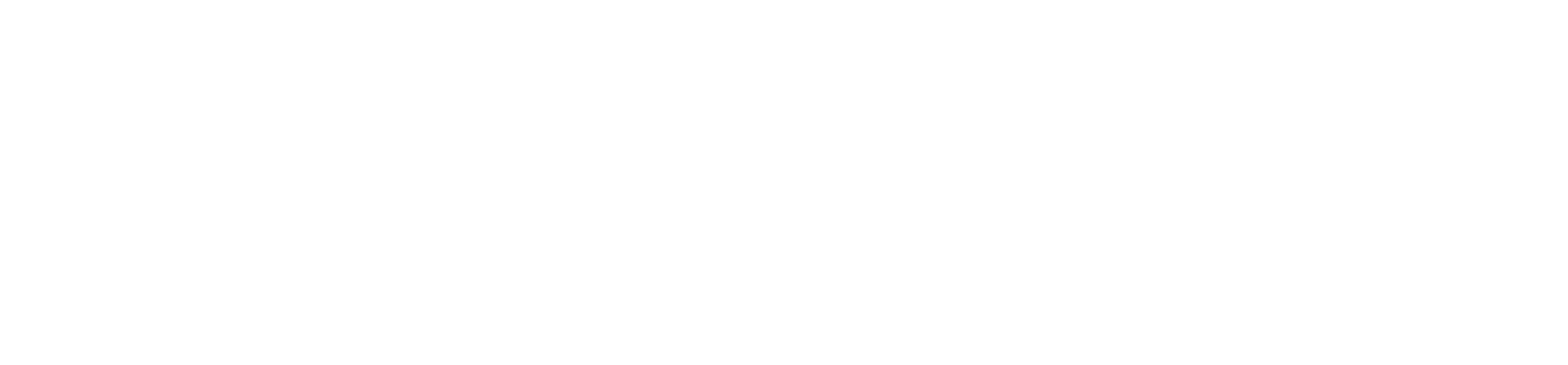 DSITE.IN.TH logo